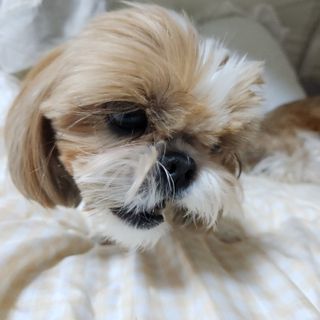 민준맘님이 올린 리뷰 사진 3
