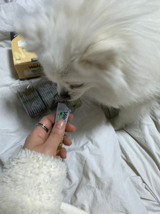 은지공주님이 올린 리뷰 사진 4