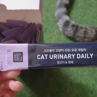 뇸뇸님이 올린 리뷰 사진 4