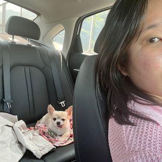 Lucy님이 올린 리뷰 사진 2