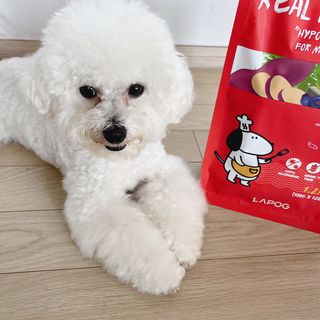 [푸디웜] 라포그  리얼인섹트 관절 저알러지 강아지 사료  1.2KG — 5점을 준 리뷰어가 2022년 8월 올린 사용 사진