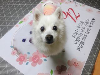 곰까님이 올린 리뷰 사진 2