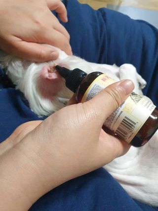 블랑쉬님이 올린 리뷰 사진 3