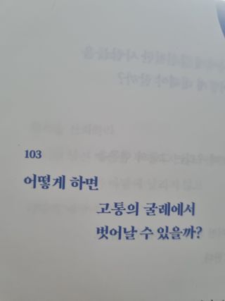fongfong님이 올린 리뷰 사진 4