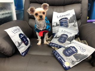 [푸디웜] 라포그 리얼인섹트 소프트키블 스킨 1KG — 5점을 준 리뷰어가 2022년 9월 올린 사용 사진