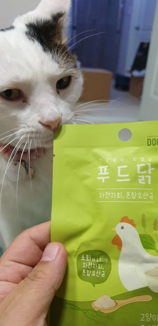 도그퓨어 푸드닭 강아지 닭고기 통살 애견간식 오리지널/차전자피/초록입홍합 — 5점을 준 리뷰어가 2021년 10월 올린 사용 사진