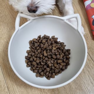 [푸디웜] 라포그  리얼인섹트 관절 저알러지 강아지 사료  1.2KG — 5점을 준 리뷰어가 2022년 8월 올린 사용 사진
