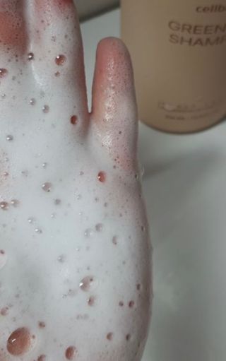 프리마인 더이상 뻣뻣하고 효과없는 탈모샴푸는 NO. 근본부터 케어하는 셀베이스 그린티샴푸(500ml) — 4.5점을 준 리뷰어가 2023년 1월 올린 사용 사진