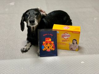 광동제약 [광동] 비타500데일리스틱 70포X2개 + 뚱랑이엽서 + 쇼핑백 증정 — 5점을 준 리뷰어가 2022년 1월 올린 사용 사진