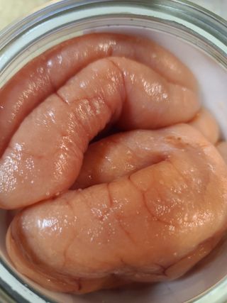 원레그리뷰님이 올린 리뷰 사진 2