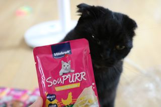 비타크래프트 고양이 수프 50g 3가지맛 x4팩씩 총 12팩 — 5점을 준 리뷰어가 2021년 8월 올린 사용 사진