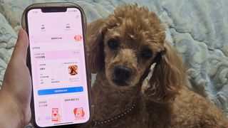 이지영님이 올린 리뷰 사진 1