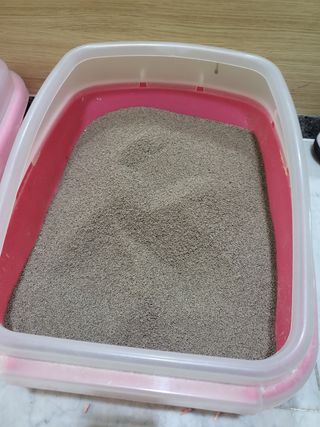 치명적매력님이 올린 리뷰 사진 1
