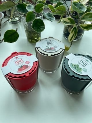 디자인님이 올린 리뷰 사진 3