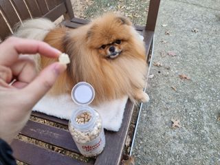 프롬씨 미네랄 소고기트릿 / 미네랄 치킨트릿 / 미네랄 북어트릿 (3가지 상품 중 랜덤 1가지 상품 랜덤 발송) — 5점을 준 리뷰어가 2022년 12월 올린 사용 사진