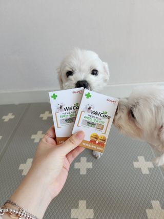 뽀야님이 올린 리뷰 사진 4