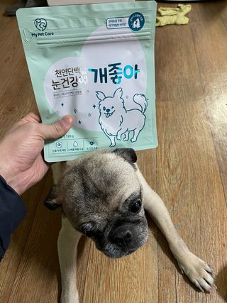 My Pet Care 천연단백질 눈건강에 개좋아 — 4점을 준 리뷰어가 2021년 2월 올린 사용 사진