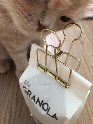 flowerblooming님이 올린 리뷰 사진 1