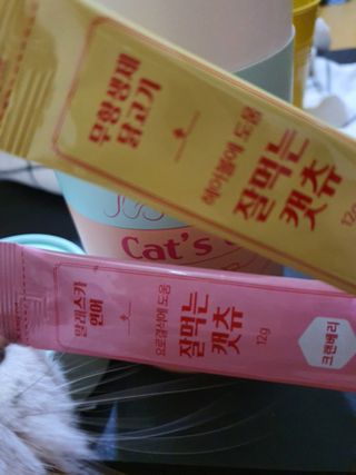 페페로니 잘 먹는 캣츄 - 무항생제 닭고기 12개 + 알래스카 연어 12개 — 5점을 준 리뷰어가 2021년 7월 올린 사용 사진