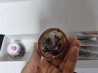 K-doraji K도라지  냉침 허브차 싸이티세트 (냉침용 캡차*2개  3종 리필차*5개) — 5점을 준 리뷰어가 2022년 6월 올린 사용 사진