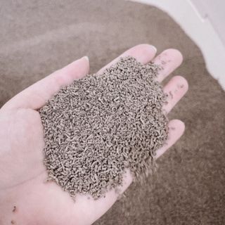 부우기님이 올린 리뷰 사진 3