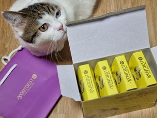 몽베스트 위드더 블랜딩 하우스 _레몬 블랙티 — 5점을 준 리뷰어가 2022년 12월 올린 사용 사진