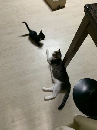 김창희님이 올린 리뷰 사진 2