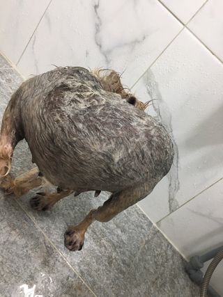 아라아빠님이 올린 리뷰 사진 4