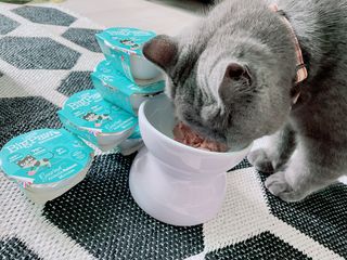 sehee님이 올린 리뷰 사진 4