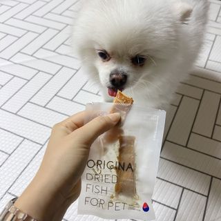 오랑이님이 올린 리뷰 사진 1