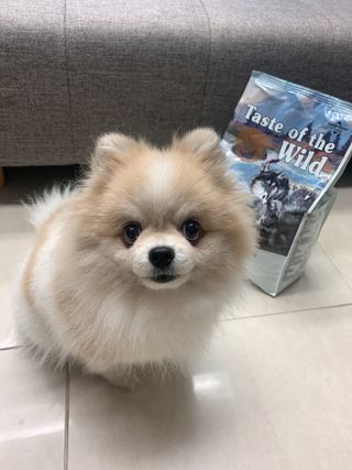 밍크마마님이 올린 리뷰 사진 1