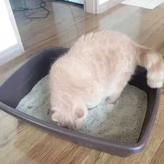 슐쟁이😄님이 올린 리뷰 사진 2