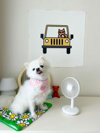 최스타님이 올린 리뷰 사진 1