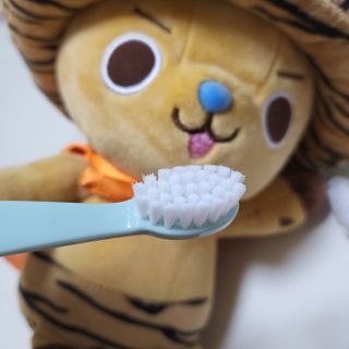 모모님님이 올린 리뷰 사진 2