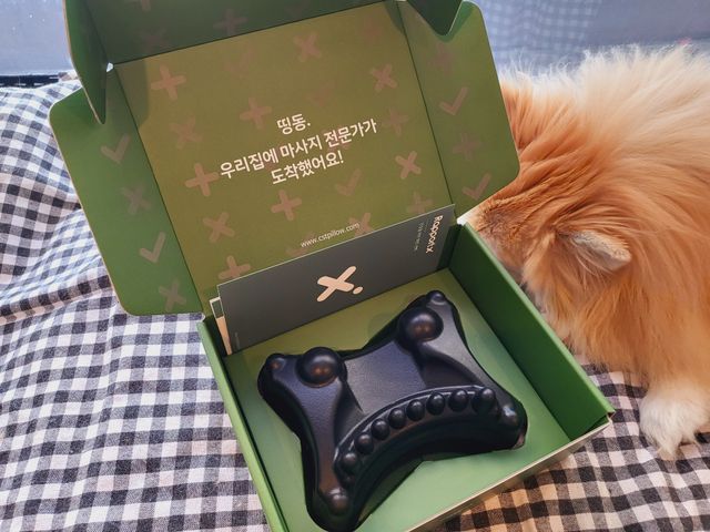나스라 마사지기 리뷰 사진