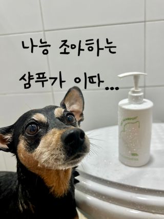 뚜나벨님이 올린 리뷰 사진 1