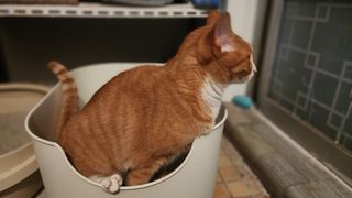 누와님이 올린 리뷰 사진 2