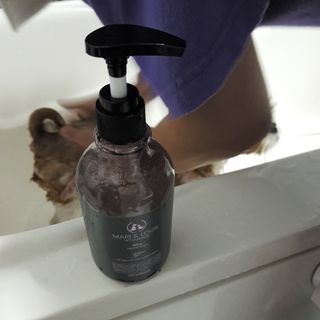 마리앤루이펫샴푸 [mari and louie pet shampoo] — 5점을 준 리뷰어가 2021년 7월 올린 사용 사진
