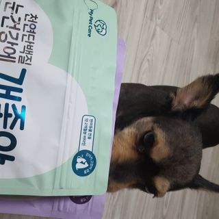 My Pet Care 천연단백질 눈건강에 개좋아 — 5점을 준 리뷰어가 2021년 1월 올린 사용 사진