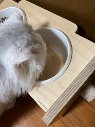 soo님이 올린 리뷰 사진 2