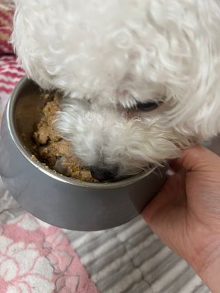 지혜로운소비자님이 올린 리뷰 사진 4