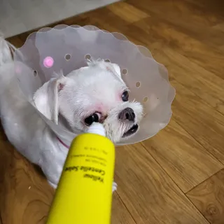 mr님이 올린 리뷰 사진 1
