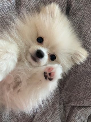 촵촵님이 올린 리뷰 사진 2