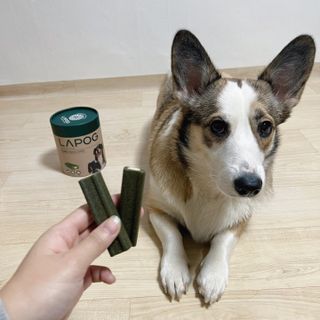 댜밍님이 올린 리뷰 사진 2