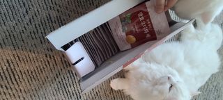 논지님이 올린 리뷰 사진 2