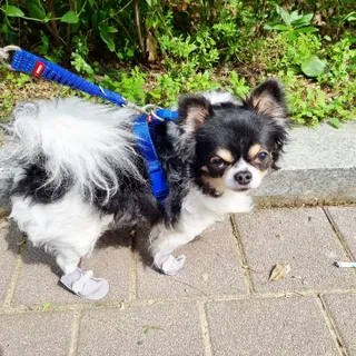 빵갱님이 올린 리뷰 사진 1