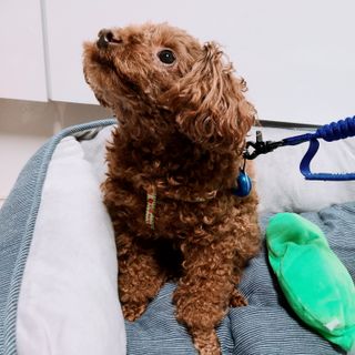 연이님이 올린 리뷰 사진 1
