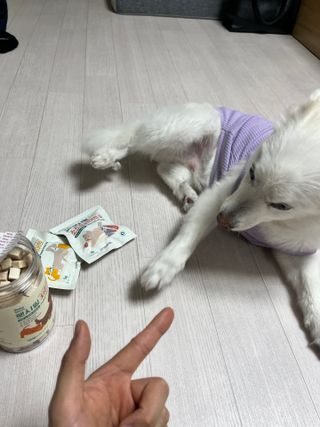 우릭님이 올린 리뷰 사진 2