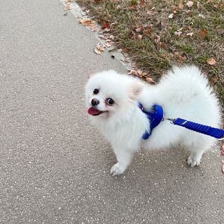 오랑이님이 올린 리뷰 사진 2