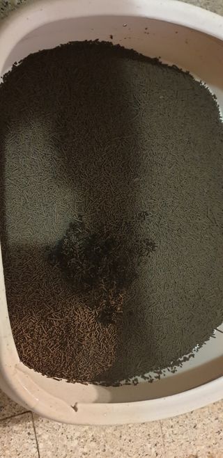 뎅뎅이복복맘님이 올린 리뷰 사진 4
